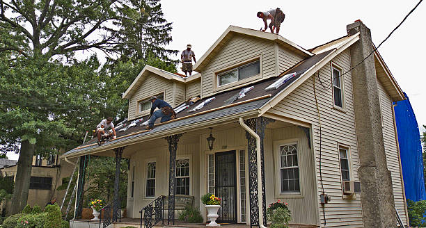 Best Roof Gutter Cleaning  in Utica, NY